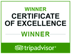 Trip Advisor Winner